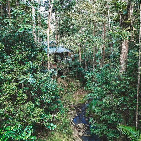 Narrows Escape Rainforest Retreat Montville Dış mekan fotoğraf