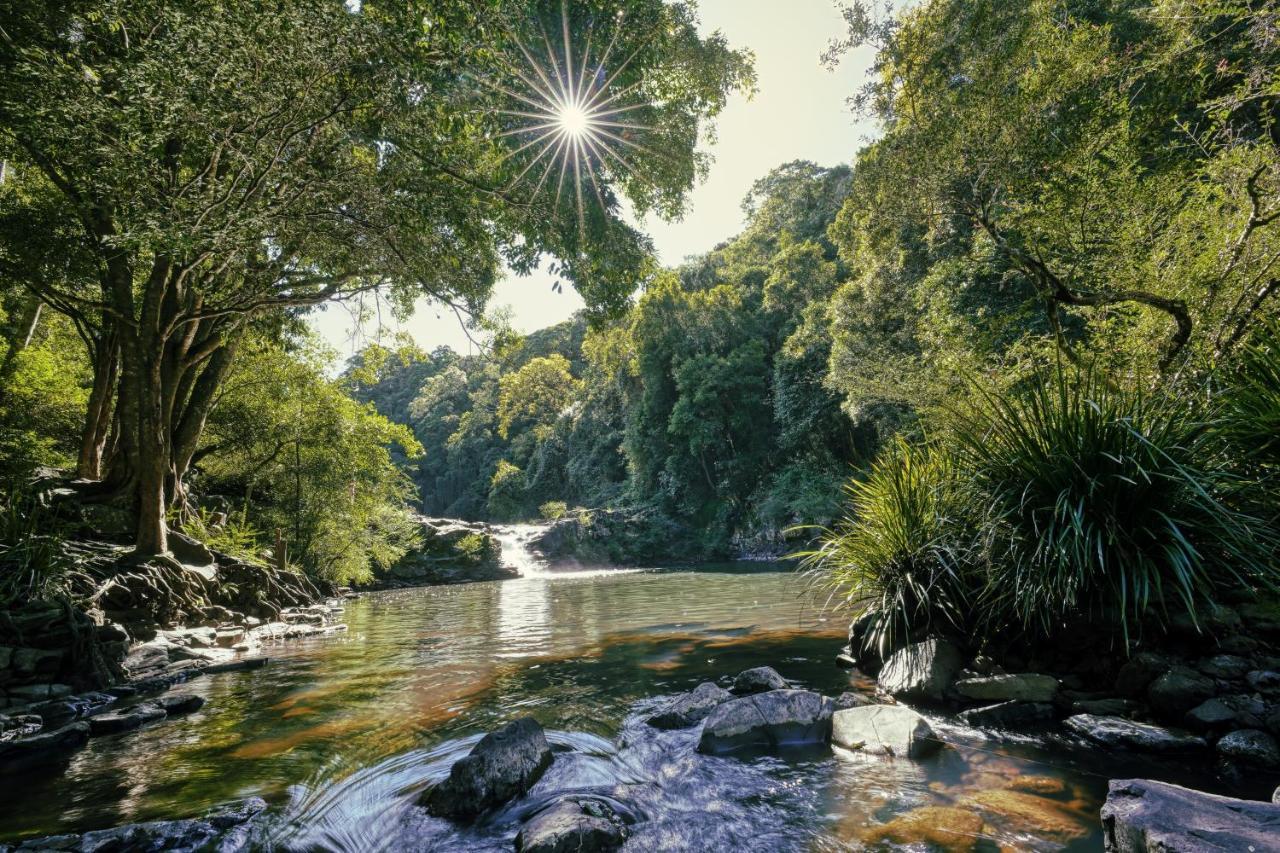 Narrows Escape Rainforest Retreat Montville Dış mekan fotoğraf