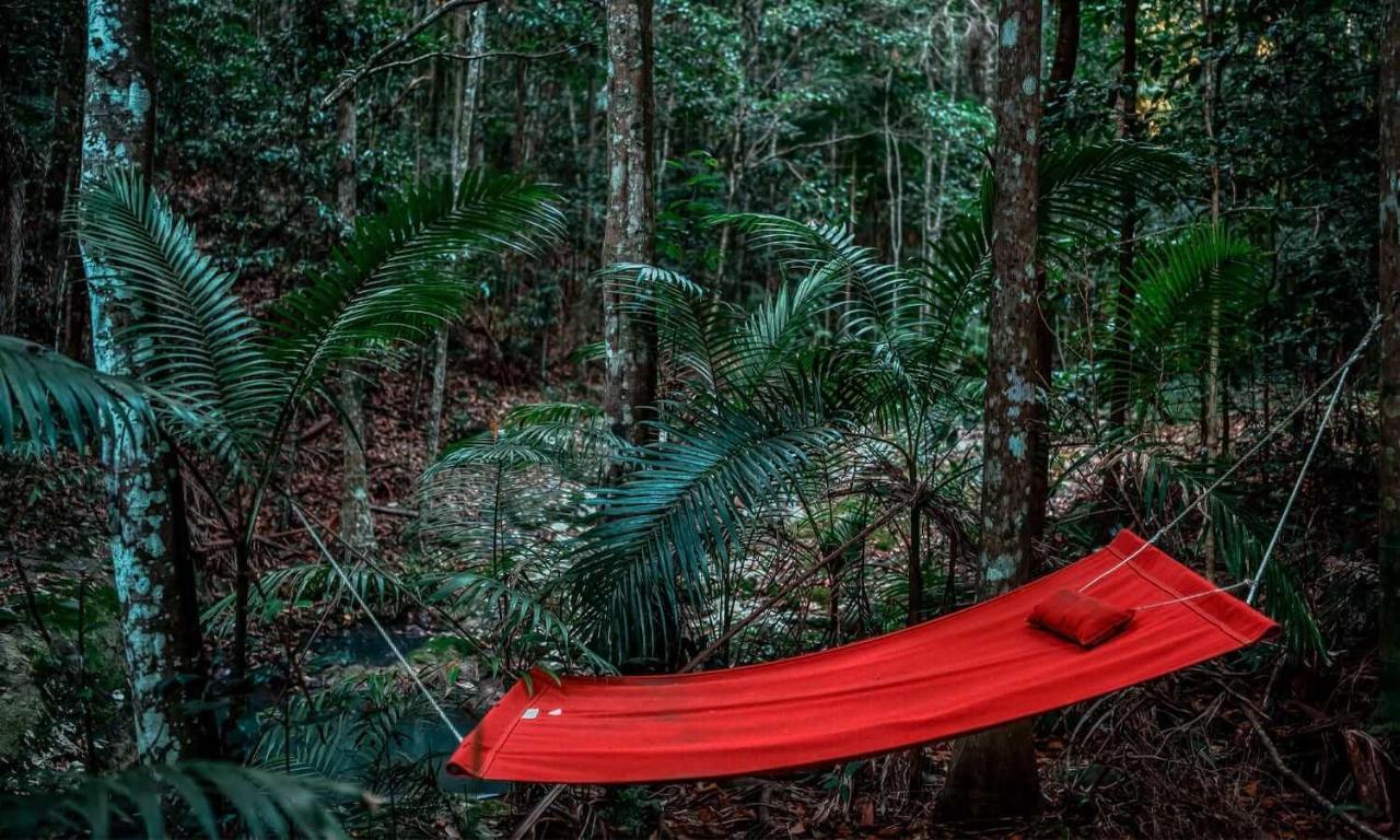 Narrows Escape Rainforest Retreat Montville Dış mekan fotoğraf