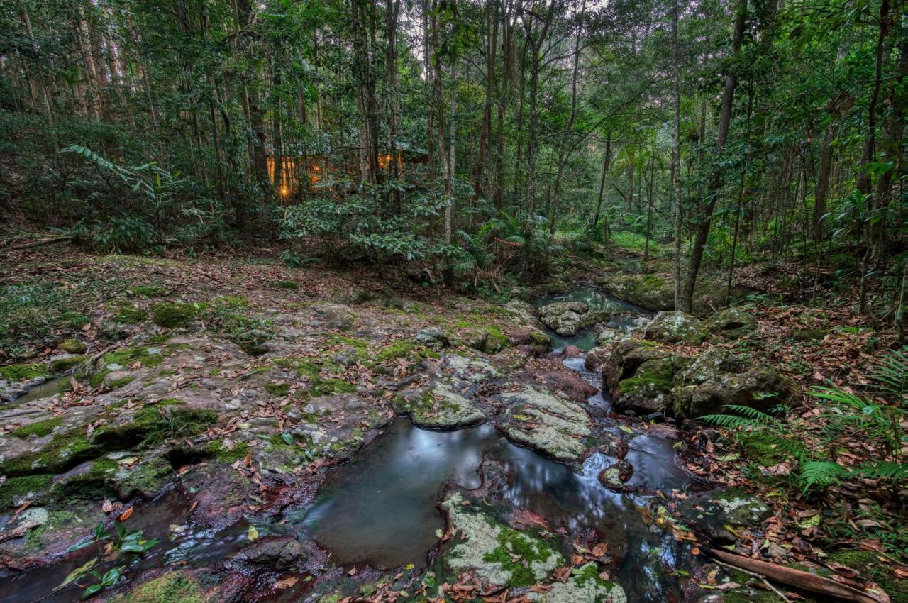 Narrows Escape Rainforest Retreat Montville Dış mekan fotoğraf