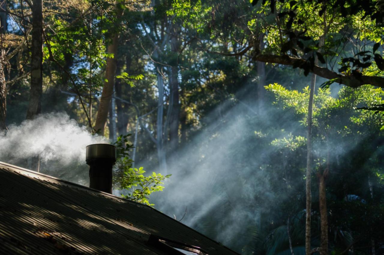 Narrows Escape Rainforest Retreat Montville Dış mekan fotoğraf