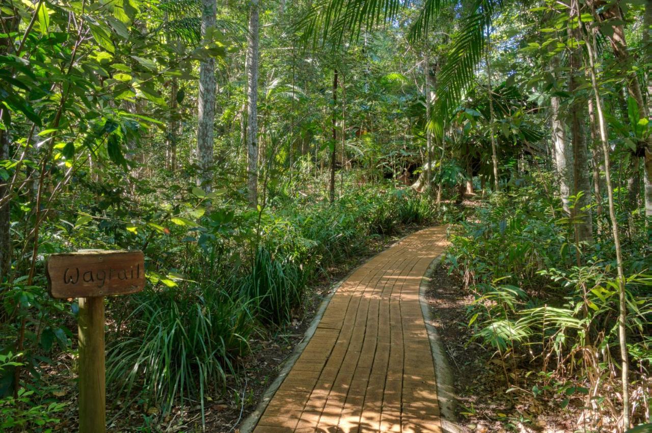 Narrows Escape Rainforest Retreat Montville Dış mekan fotoğraf