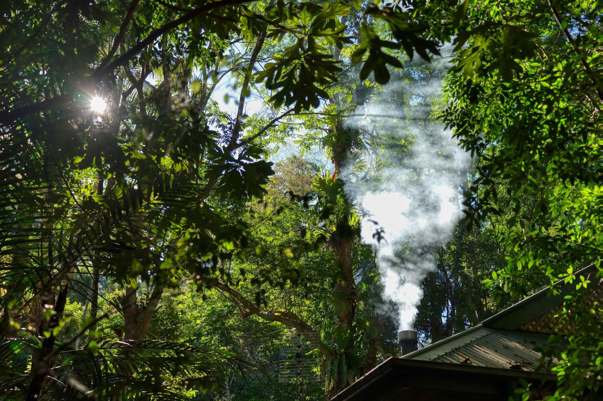 Narrows Escape Rainforest Retreat Montville Dış mekan fotoğraf