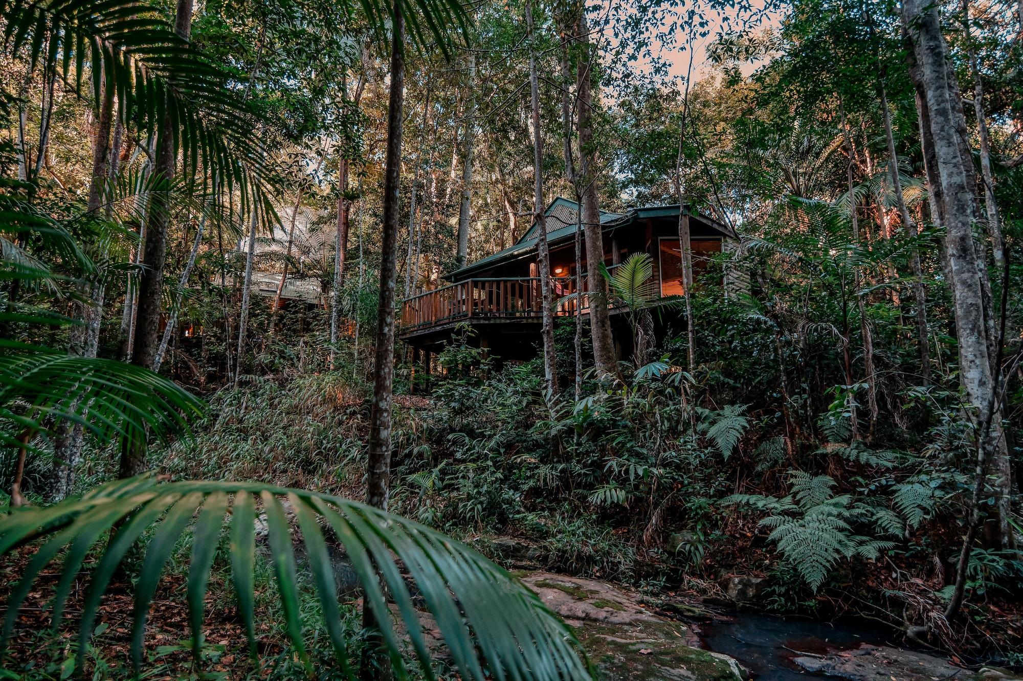 Narrows Escape Rainforest Retreat Montville Dış mekan fotoğraf