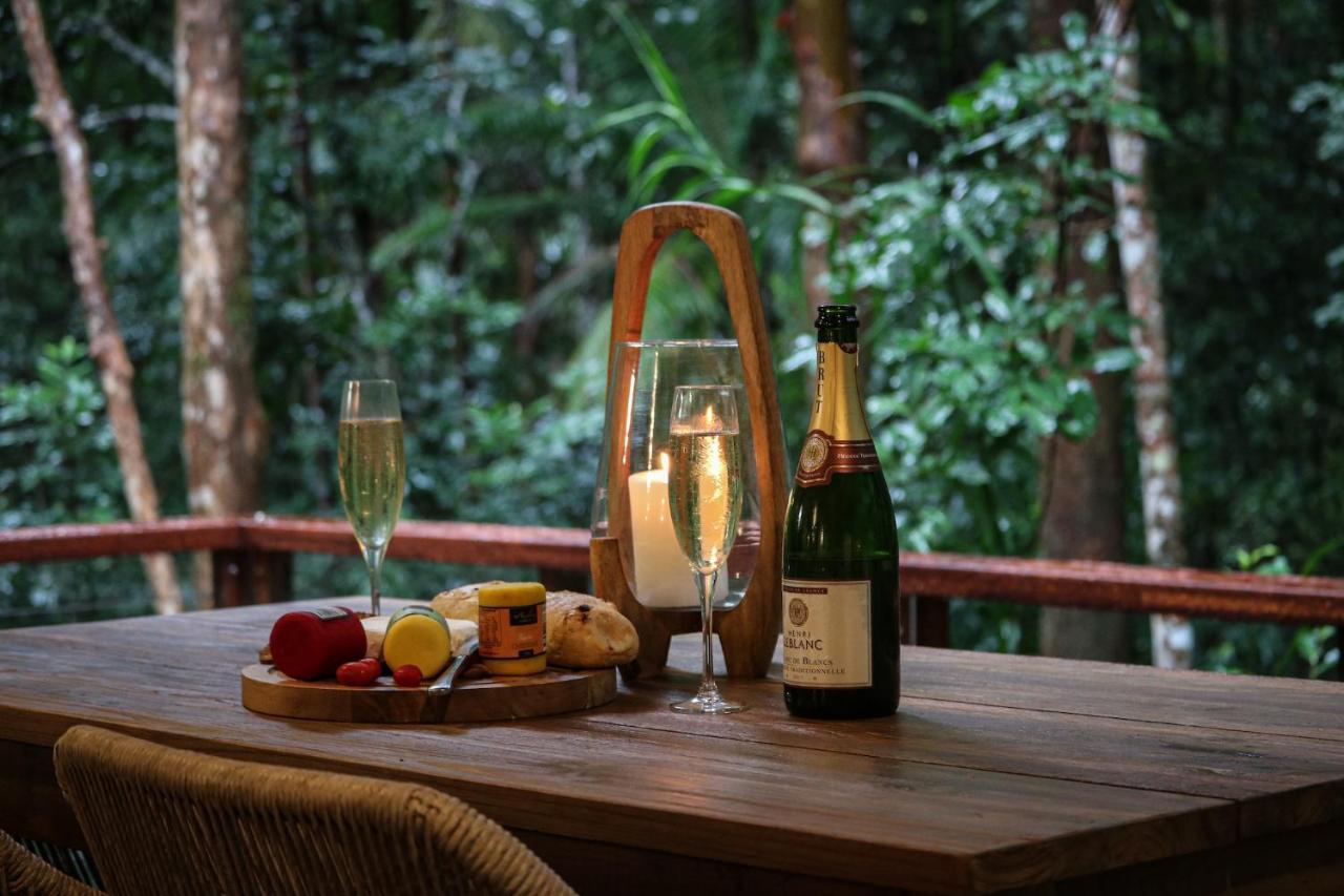Narrows Escape Rainforest Retreat Montville Dış mekan fotoğraf