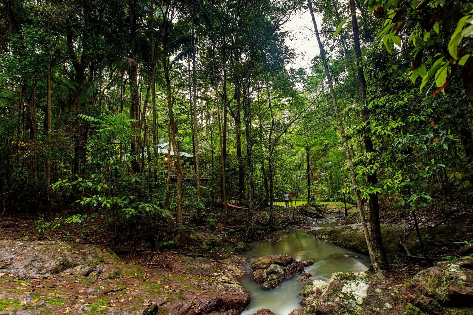 Narrows Escape Rainforest Retreat Montville Dış mekan fotoğraf