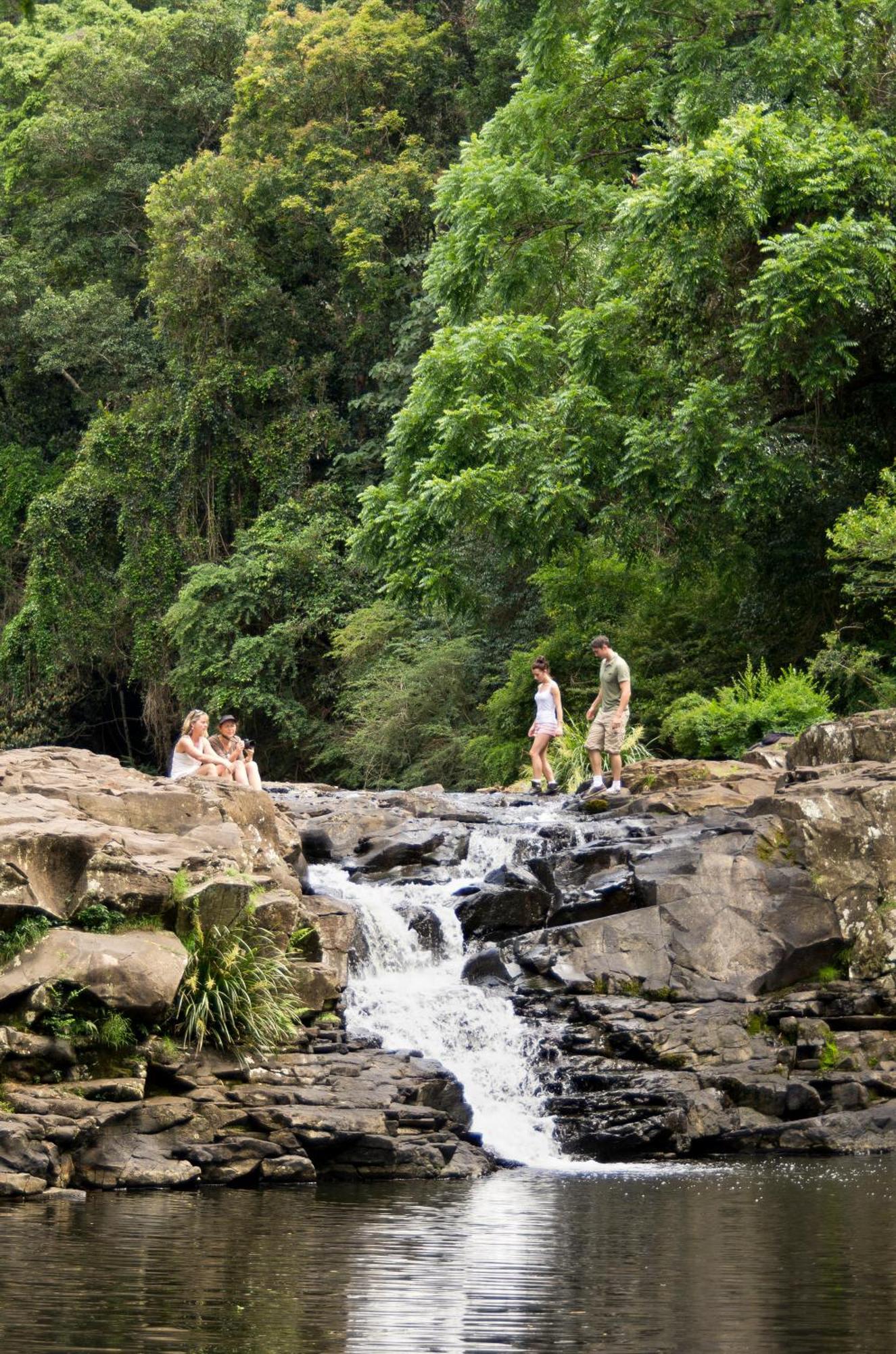 Narrows Escape Rainforest Retreat Montville Dış mekan fotoğraf