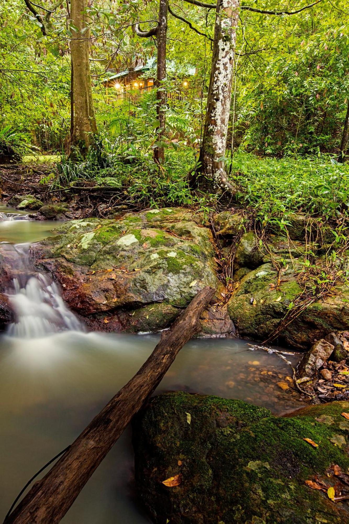 Narrows Escape Rainforest Retreat Montville Dış mekan fotoğraf