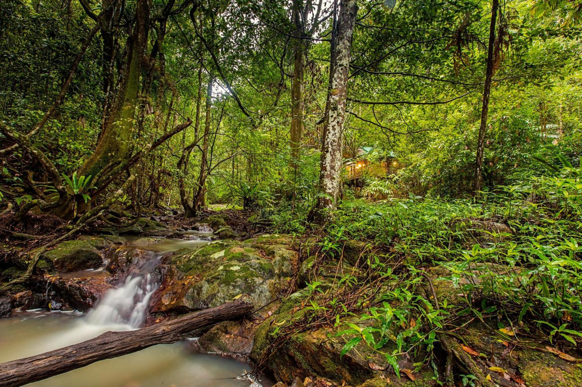 Narrows Escape Rainforest Retreat Montville Dış mekan fotoğraf