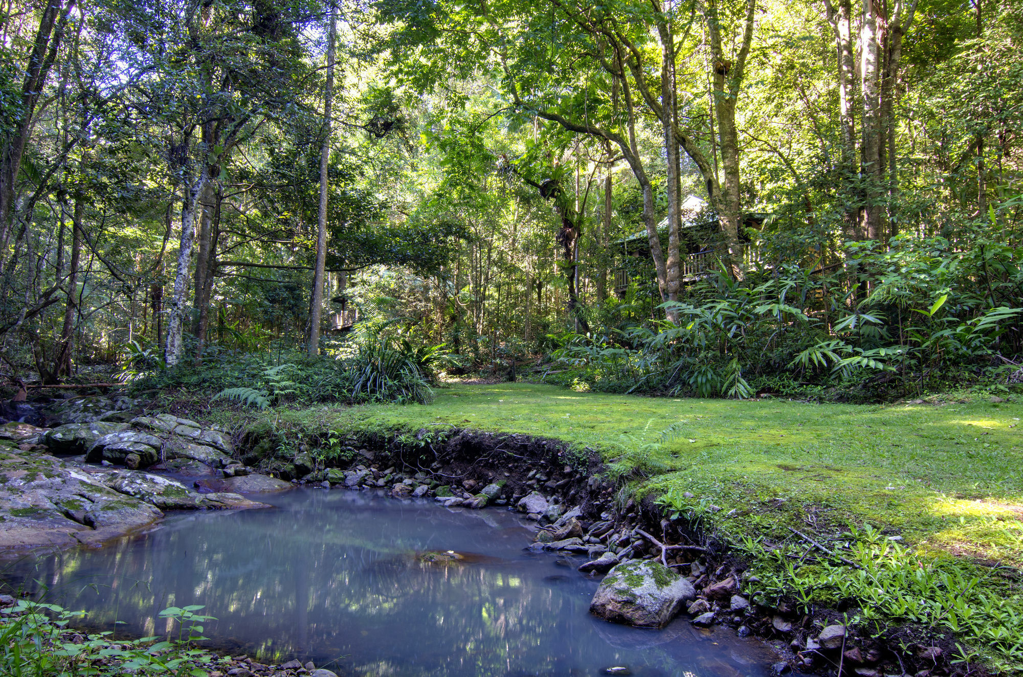 Narrows Escape Rainforest Retreat Montville Dış mekan fotoğraf